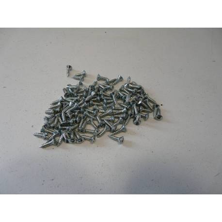 Kit de 100 vis Parker 