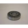 Rear simple bearing - input shaft
