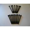 Cylinder head screw kit from sept. 65