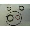 Oil pump repair kit - SM