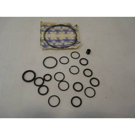 Kit réfection pompe HP - SM