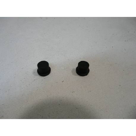 Jeu de 2 chapeaux de vis de purge de freins