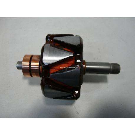 Rotor d'alternateur - SM