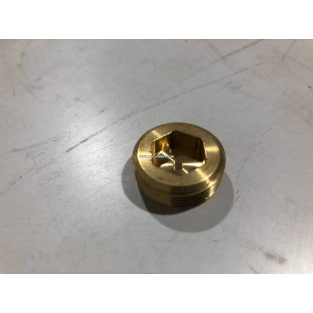 Bouchon de vilebrequin  paliers