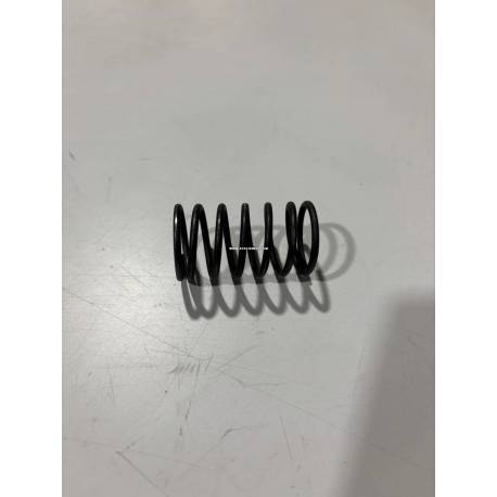 Ressort de soupape interieur