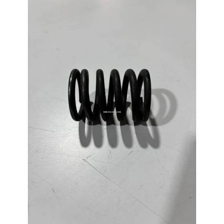 Ressort de soupape interieur